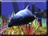 3D Wild Dolphin Screensaver