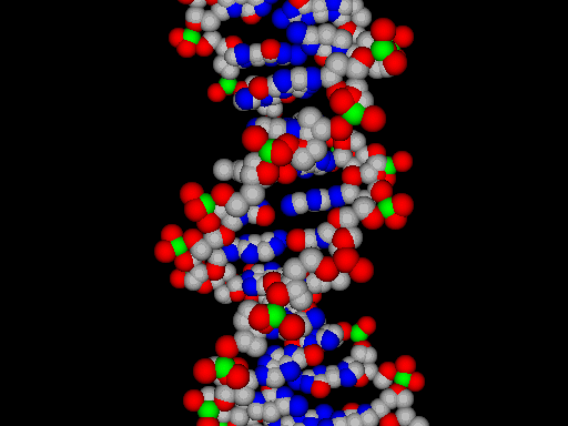 Screenshot of BioMolecula 3D ScreenSaver 1.1