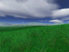 Green Fields 3D ScreenSaver