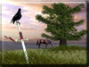 Sword of Valor 3D Screensaver