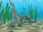 Water Life 3D